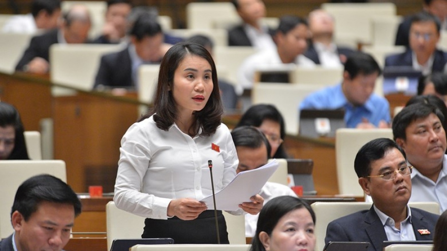 "Hệ thống pháp luật của Việt Nam liên tục được phát triển"